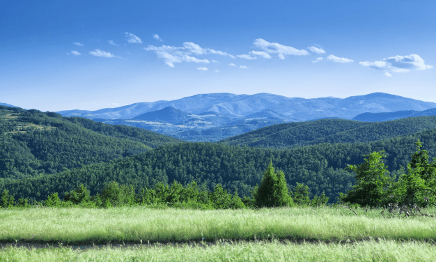featured-image